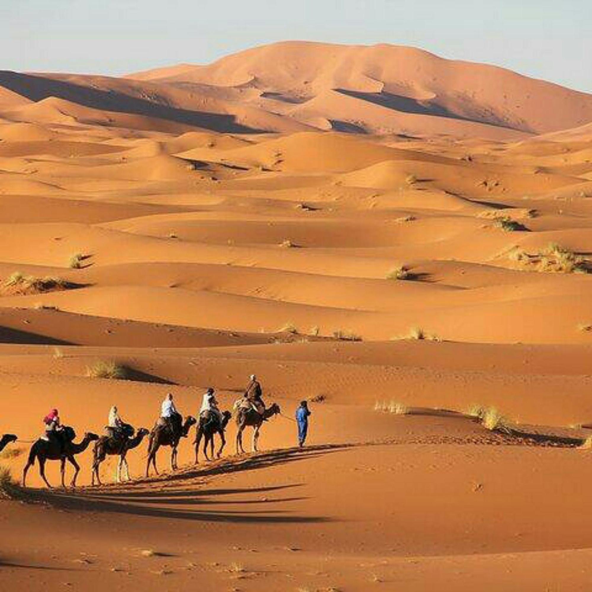 Best Desert Luxury Camp Мерцуга Екстериор снимка